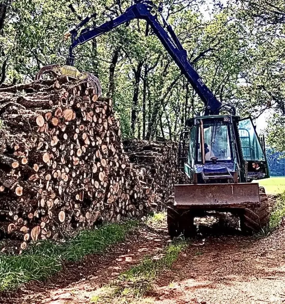 Vente de bois à Saint-Projet